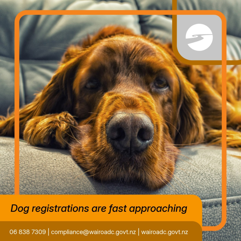 Dog Registration