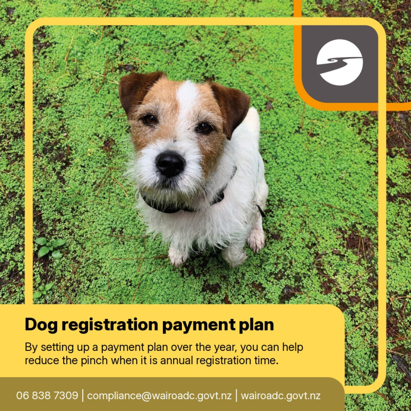 Dog Registration payment Plan