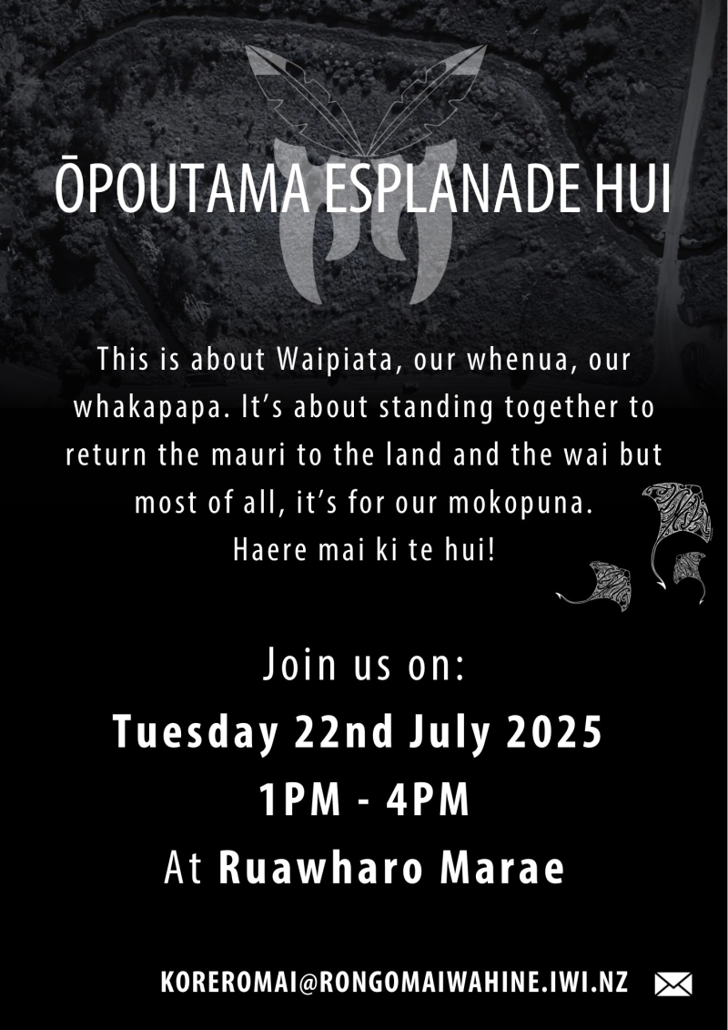 Opoutama Esplanade Hui