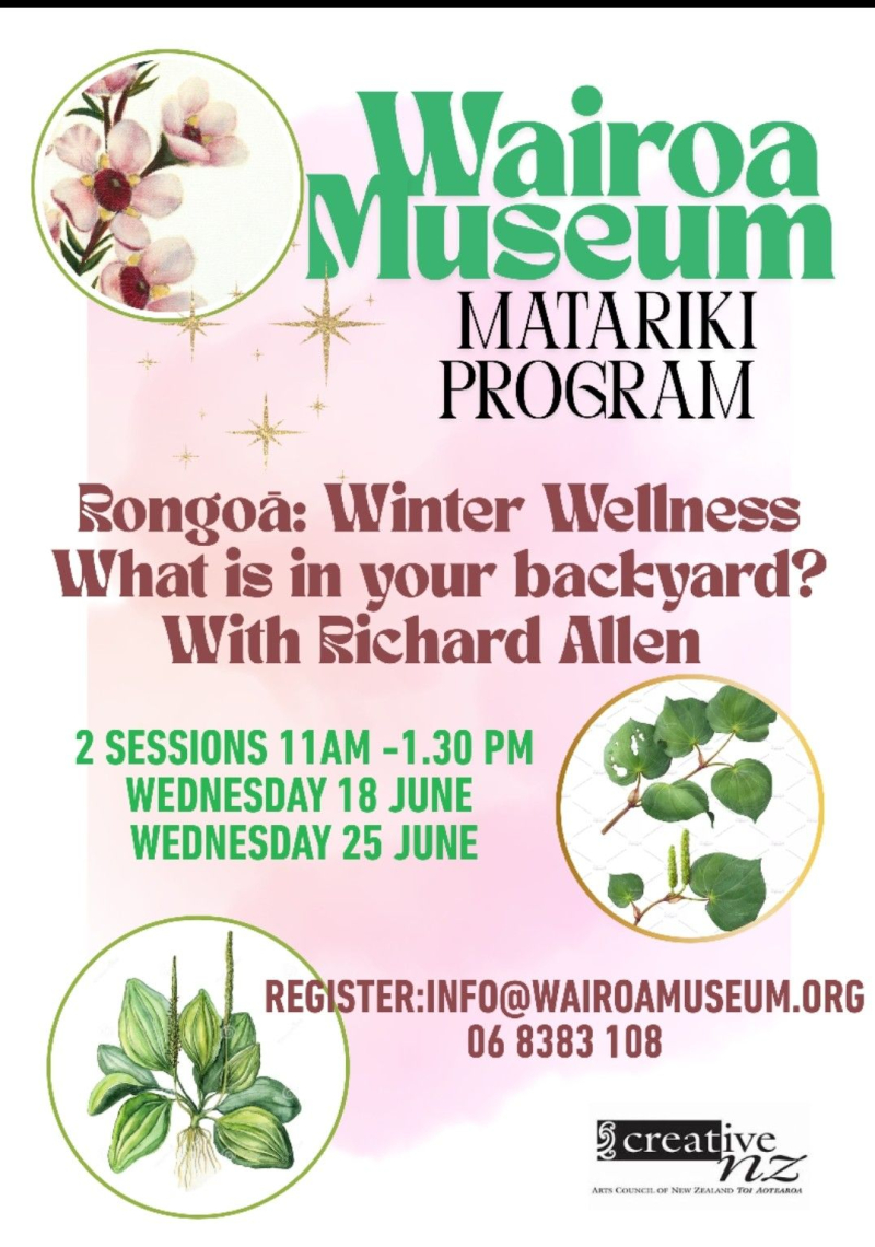 Wairoa Museum Matariki Program
