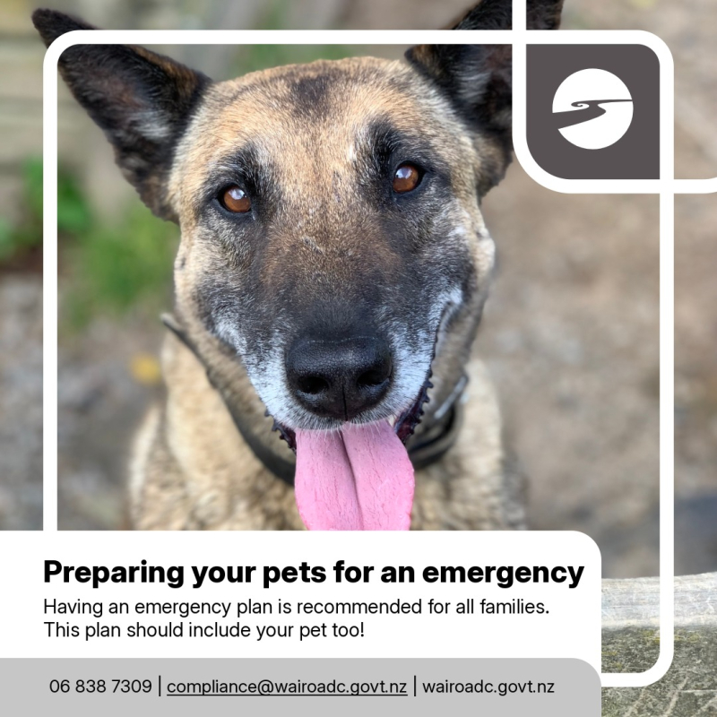Preparing your pet for an emergency