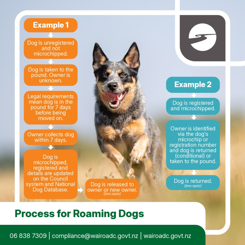 Process for Roaming dogs