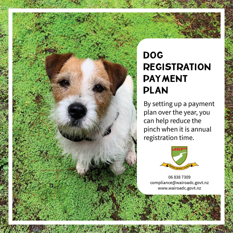 Dog Registration payment Plan