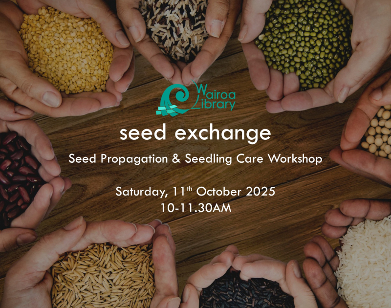 Seedling Workshop