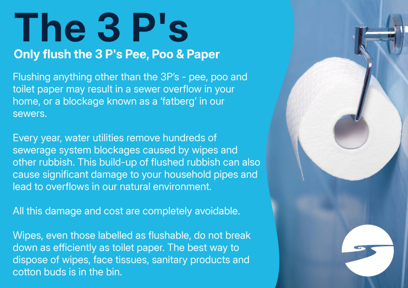 The 3 ps