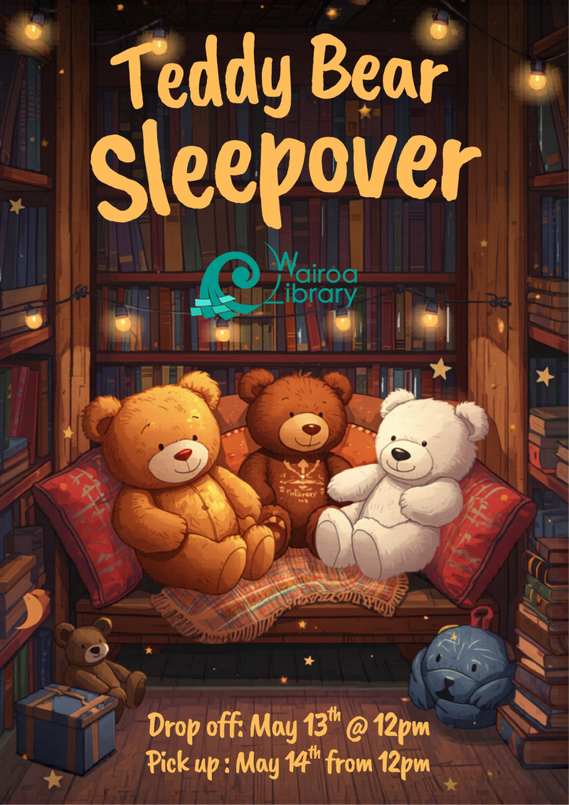 Teddy bear sleepover