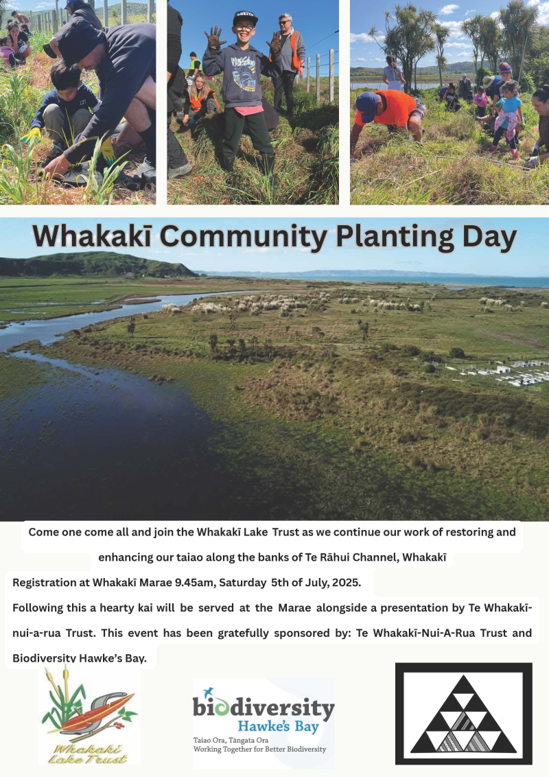 Whakaki Community Planting Day