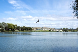 Wairoa River