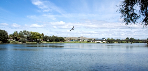 Wairoa River